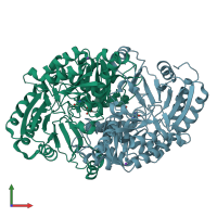 PDB entry 1s09 coloured by chain, front view.
