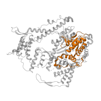 The deposited structure of PDB entry 1s0v contains 4 copies of CATH domain 3.30.70.370 (Alpha-Beta Plaits) in T7 RNA polymerase. Showing 1 copy in chain M [auth A].