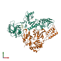 PDB entry 1s1w coloured by chain, front view.
