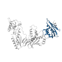 The deposited structure of PDB entry 1s1x contains 1 copy of CATH domain 3.30.420.10 (Nucleotidyltransferase; domain 5) in Reverse transcriptase/ribonuclease H. Showing 1 copy in chain A.