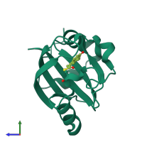 PDB entry 1s1y coloured by chain, side view.