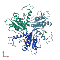 PDB entry 1s2d coloured by chain, front view.