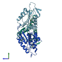 PDB entry 1s2g coloured by chain, side view.