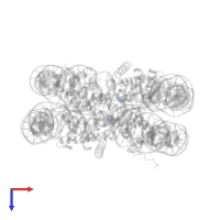 GAMMA-AMINO-BUTANOIC ACID in PDB entry 1s32, assembly 1, top view.