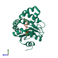 PDB entry 1s3g coloured by chain, side view.