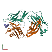 PDB entry 1s3k coloured by chain, front view.