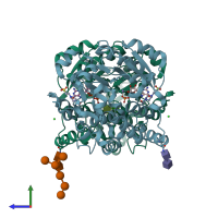 PDB entry 1s4p coloured by chain, side view.