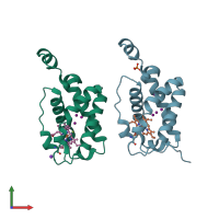 PDB entry 1s56 coloured by chain, front view.