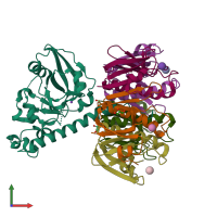 PDB entry 1s5d coloured by chain, front view.