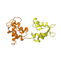 The deposited structure of PDB entry 1s5g contains 2 copies of CATH domain 1.10.238.10 (Recoverin; domain 1) in Myosin essential light chain, striated adductor muscle. Showing 2 copies in chain C [auth Z].