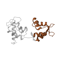 The deposited structure of PDB entry 1s5g contains 1 copy of Pfam domain PF13499 (EF-hand domain pair) in Myosin essential light chain, striated adductor muscle. Showing 1 copy in chain C [auth Z].