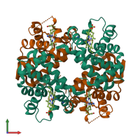 Hetero tetrameric assembly 1 of PDB entry 1s5x coloured by chemically distinct molecules, front view.