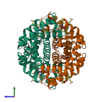 Hetero tetrameric assembly 1 of PDB entry 1s5x coloured by chemically distinct molecules, side view.