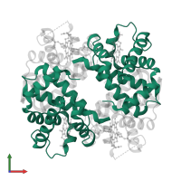 Hemoglobin subunit alpha in PDB entry 1s5x, assembly 1, front view.