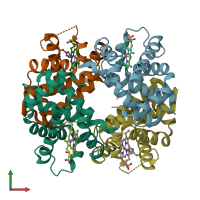 PDB entry 1s5y coloured by chain, front view.