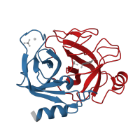 The deposited structure of PDB entry 1s6h contains 2 copies of CATH domain 2.40.10.10 (Thrombin, subunit H) in Trypsin. Showing 2 copies in chain A.