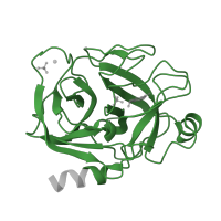 The deposited structure of PDB entry 1s6h contains 1 copy of Pfam domain PF00089 (Trypsin) in Trypsin. Showing 1 copy in chain A.