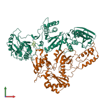 PDB entry 1s6p coloured by chain, front view.