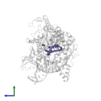RNA (5'-R(*AP*CP*AP*CP*GP*GP*CP*GP*AP*(3DA))-3') in PDB entry 1s77, assembly 1, side view.