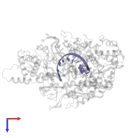 RNA (5'-R(*AP*CP*AP*CP*GP*GP*CP*GP*AP*(3DA))-3') in PDB entry 1s77, assembly 1, top view.