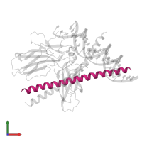 Protein c-Fos in PDB entry 1s9k, assembly 1, front view.