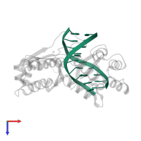 5'-D(*CP*CP*CP*CP*CP*GP*GP*GP*GP*G)-3' in PDB entry 1sa3, assembly 1, top view.