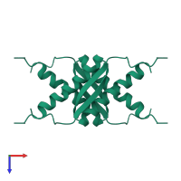 Homo tetrameric assembly 1 of PDB entry 1sal coloured by chemically distinct molecules, top view.