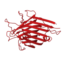 The deposited structure of PDB entry 1sbd contains 1 copy of CATH domain 2.60.120.200 (Jelly Rolls) in Lectin. Showing 1 copy in chain A.