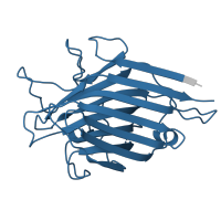 The deposited structure of PDB entry 1sbd contains 1 copy of Pfam domain PF00139 (Legume lectin domain) in Lectin. Showing 1 copy in chain A.