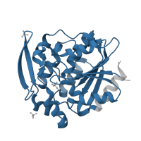 The deposited structure of PDB entry 1sc9 contains 1 copy of Pfam domain PF00561 (alpha/beta hydrolase fold) in (S)-hydroxynitrile lyase. Showing 1 copy in chain A.