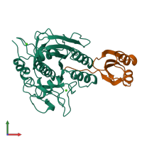 PDB entry 1scj coloured by chain, front view.