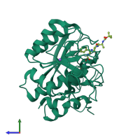 PDB entry 1scn coloured by chain, side view.