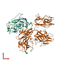 PDB entry 1sdd coloured by chain, front view.