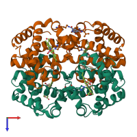 Hetero tetrameric assembly 1 of PDB entry 1sdk coloured by chemically distinct molecules, top view.