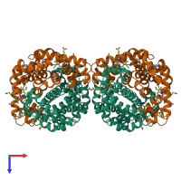 Hetero octameric assembly 2 of PDB entry 1sdk coloured by chemically distinct molecules, top view.