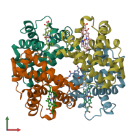 PDB entry 1sdl coloured by chain, front view.