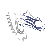 The deposited structure of PDB entry 1seb contains 2 copies of Pfam domain PF07654 (Immunoglobulin C1-set domain) in HLA class II histocompatibility antigen, DR alpha chain. Showing 1 copy in chain A.