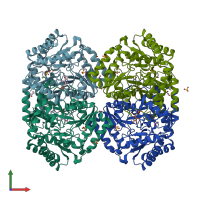 PDB entry 1sf2 coloured by chain, front view.