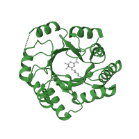 The deposited structure of PDB entry 1sfj contains 2 copies of SCOP domain 51570 (Class I aldolase) in 3-dehydroquinate dehydratase. Showing 1 copy in chain B.