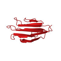 The deposited structure of PDB entry 1sfp contains 1 copy of CATH domain 2.60.120.290 (Jelly Rolls) in Spermadhesin-1. Showing 1 copy in chain A.