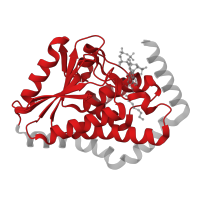 The deposited structure of PDB entry 1sg4 contains 3 copies of CATH domain 3.90.226.10 (2-enoyl-CoA Hydratase; Chain A, domain 1) in Enoyl-CoA delta isomerase 1, mitochondrial. Showing 1 copy in chain B.