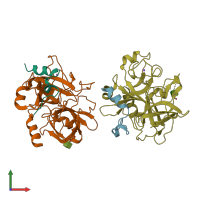 PDB entry 1sg8 coloured by chain, front view.
