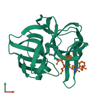 PDB entry 1sgc coloured by chain, front view.