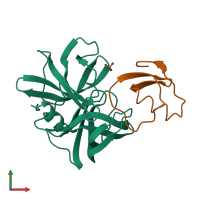 PDB entry 1sgd coloured by chain, front view.