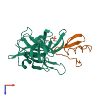 PDB entry 1sgd coloured by chain, top view.