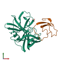 PDB entry 1sge coloured by chain, front view.