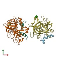 PDB entry 1sgi coloured by chain, front view.