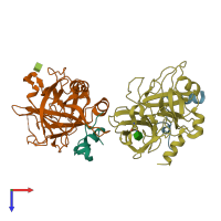 PDB entry 1sgi coloured by chain, top view.