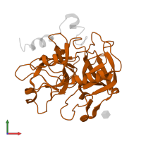 Thrombin heavy chain in PDB entry 1sgi, assembly 1, front view.