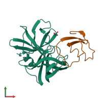 PDB entry 1sgn coloured by chain, front view.